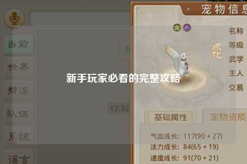 新手玩家必看的完整攻略