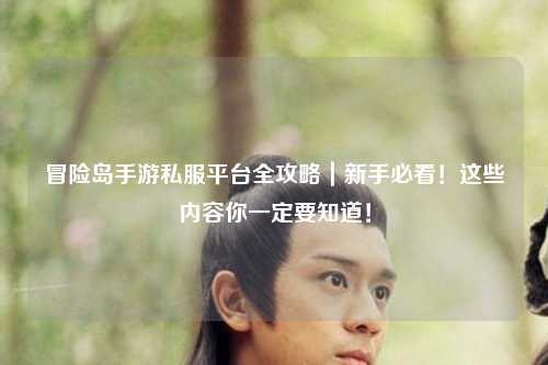 冒险岛手游私服平台全攻略|新手必看!这些内容你一定要知道!