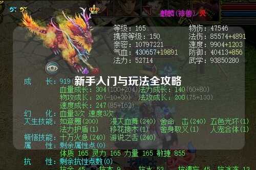 新手入门与玩法全攻略