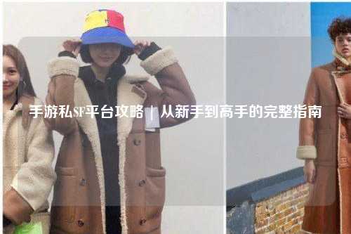 手游私SF平台攻略 | 从新手到高手的完整指南