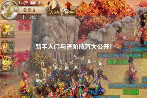 新手入门与进阶技巧大公开!