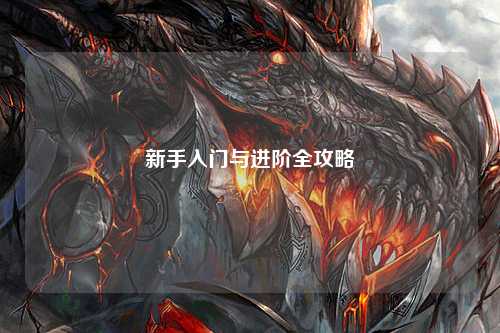 新手入门与进阶全攻略