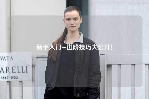 新手入门+进阶技巧大公开!