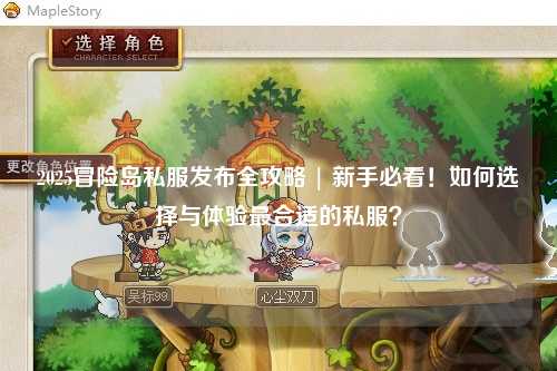2025冒险岛私服发布全攻略 | 新手必看！如何选择与体验最合适的私服？